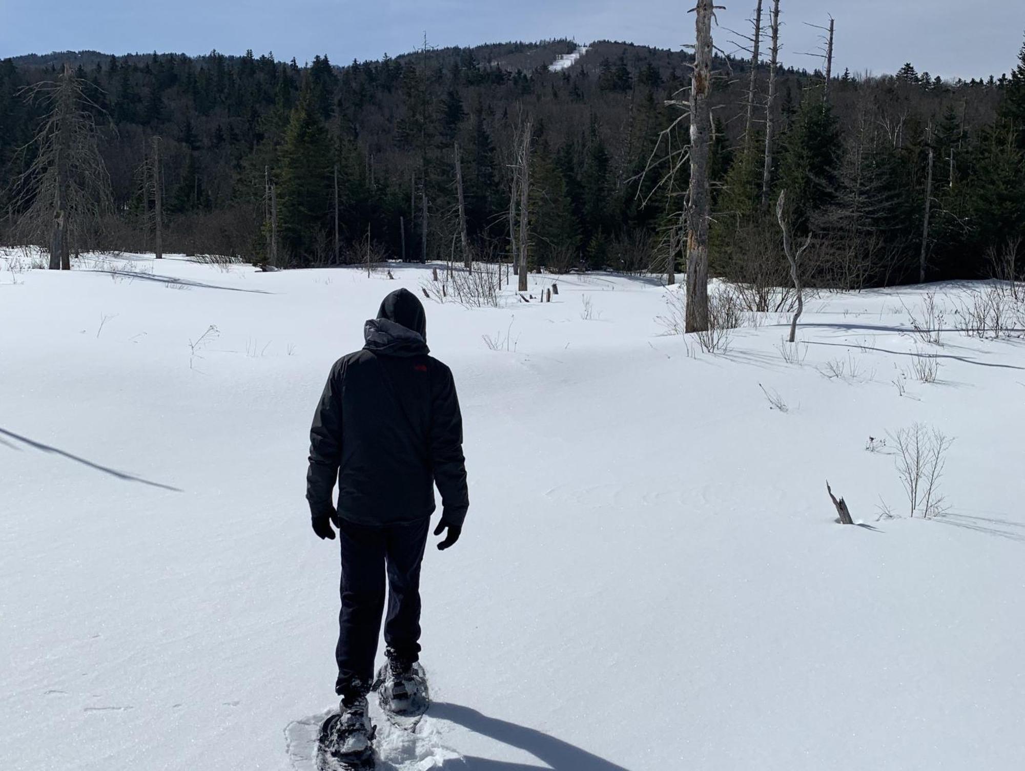 B3 New Awesome Tiny Home With Ac Mountain Views Minutes To Skiing Hiking Attractions Carroll エクステリア 写真